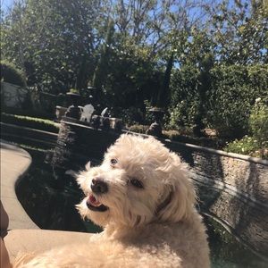 Meet your Posher, Bay